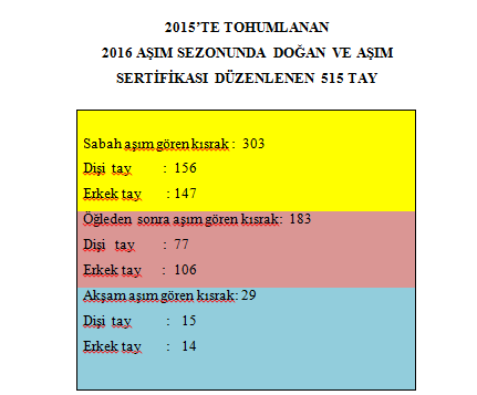 2015 puanliistanbul.net yazı.png (11 KB)